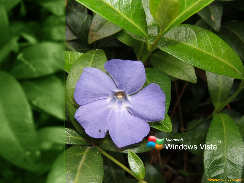 , windows, vista, longhorn